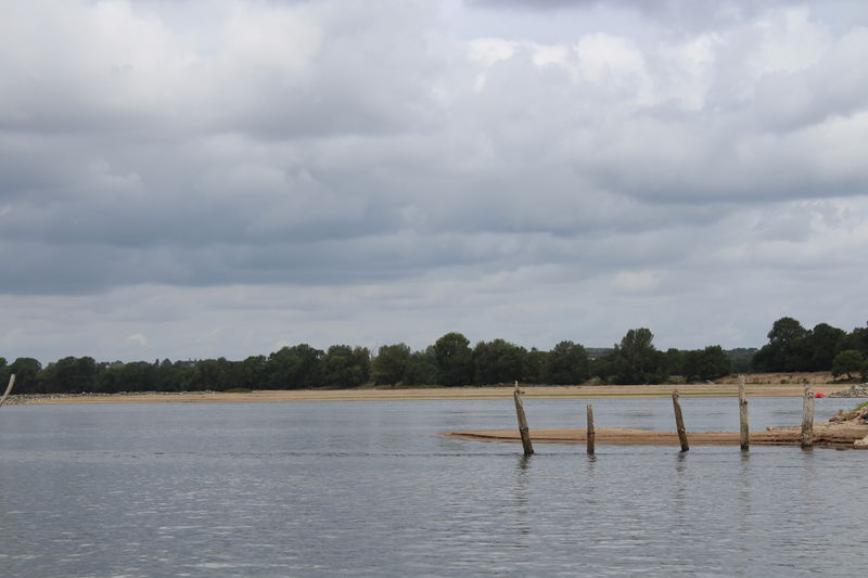 Fichier:Levée d'Ingrandes à Montjean - 2017 1688.JPG