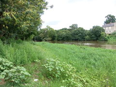 Rochefortsurloire louet -2014c.jpg