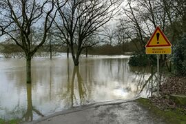 Chalonnes 20260219 02.jpg