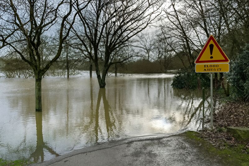 Fichier:Chalonnes 20260219 02.jpg