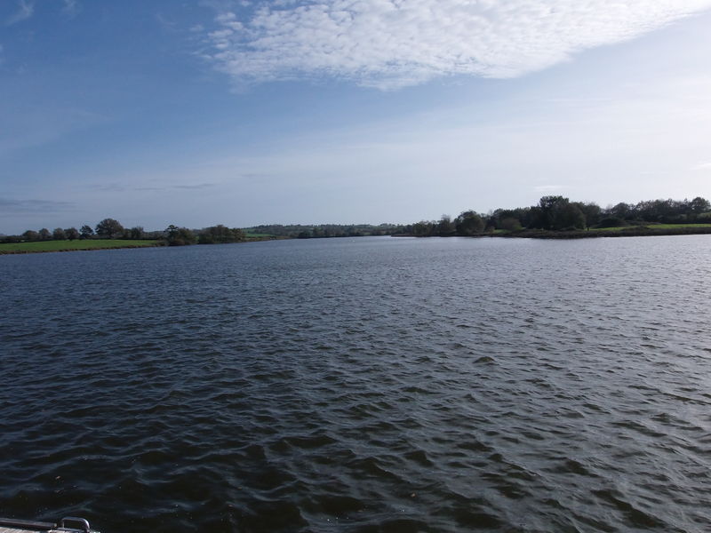 Fichier:Cholet lac de ribou - 2015b.jpg