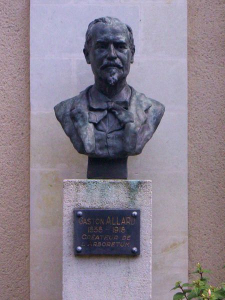 Fichier:Allard gaston buste seguin.jpg