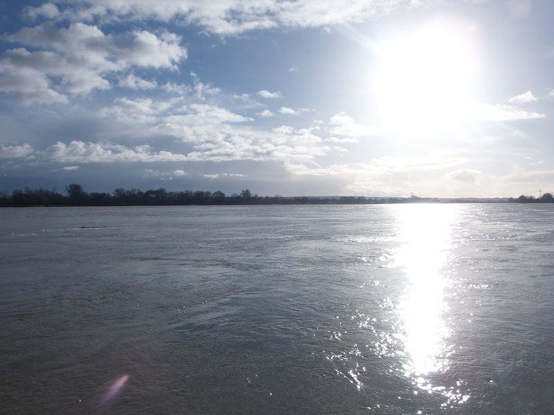 Fichier:Loire ingrandes 2013-4.jpg