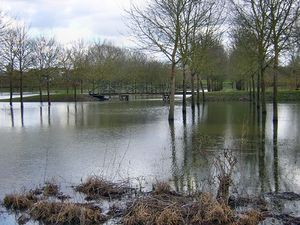 Photographie du Brionneau au parc Balzac à Angers.