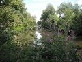 Vignette pour la version du 28 juillet 2012 à 06:51