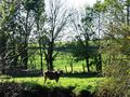 Vignette pour la version du 27 mai 2014 à 17:48