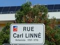 Rue Carl Linné à Angers.