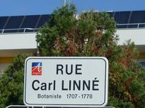 Photographie de la plaque de la rue Carl Linné à Angers.
