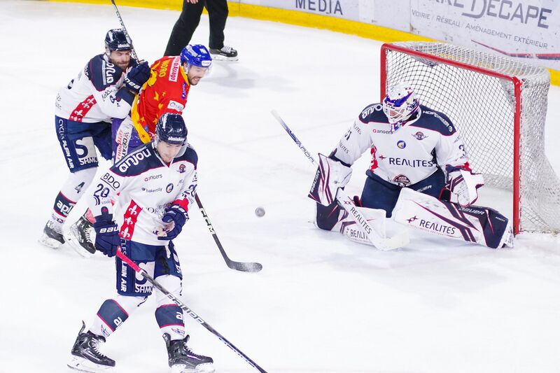 Fichier:Ducs angers coupe continentale 2023a.jpg