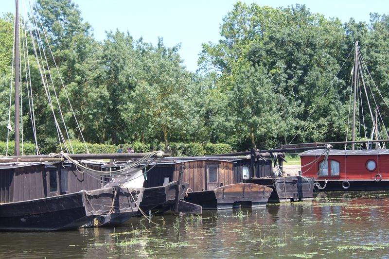 Fichier:La possonnière bords de loire 2021-9403.JPG