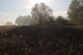 Chaudefonds 2018 5206.jpg