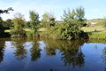 Layon saintaubindeluigne - 2017 2384.jpg