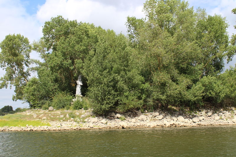 Fichier:Montjean pointe de l'île de Chalonnes - 2017 2002.JPG