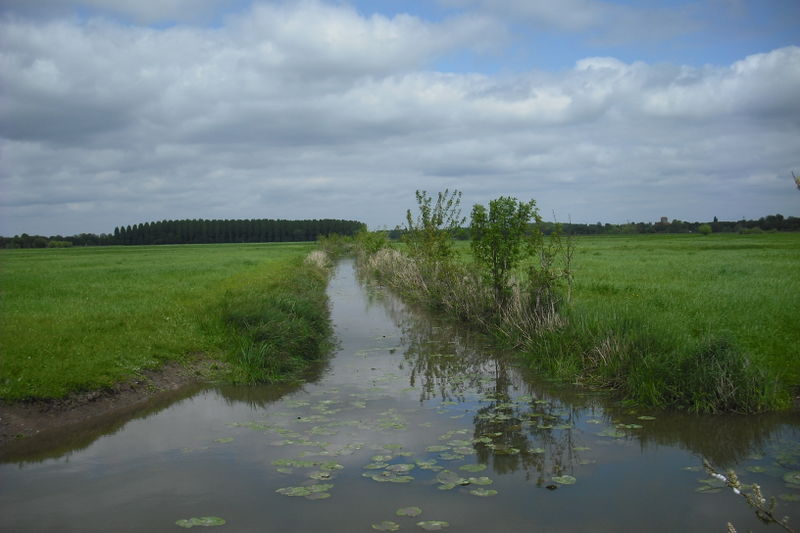 Fichier:Ile st aubin canal 2009a.jpg