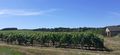 Coteau rochefort r20-29.jpg