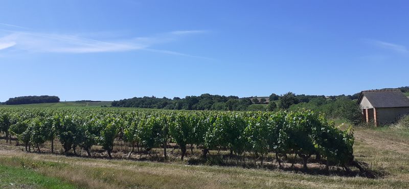 Fichier:Coteau rochefort r20-29.jpg