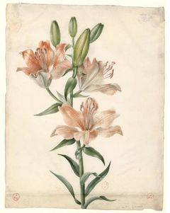 Aquarelle de 1833.