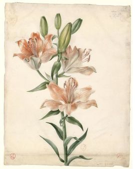 Aquarelle de 1833.