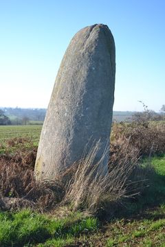 Photographie du menhir de la Bretaudière.