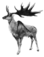 Symbole megaloceros.
