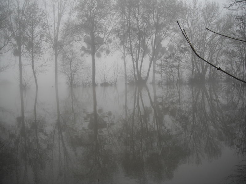 Fichier:Bouchemaine lapointe inondations 2013 3.jpg