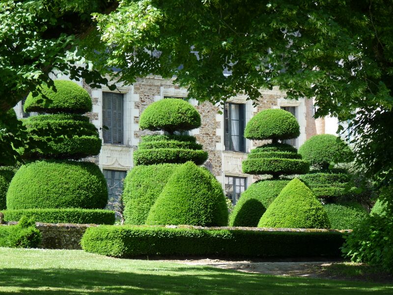 Fichier:Champtocesurloire chateau du pin 2024-15.jpg