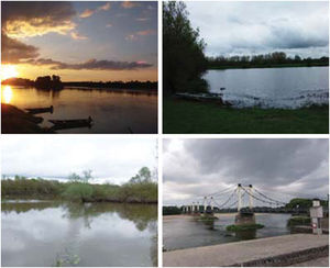 Photographie d'un paysage de la Loire.