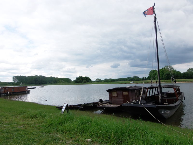 Fichier:Bateaux bouchemaine 2015d.jpg