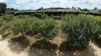 Fontevraud village 2009a.jpg