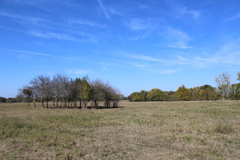 Fichier:Île de Chalonnes - 2018 5189.jpg