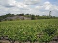 Chaudefondssurlayon mine des malecots-2012a.jpg