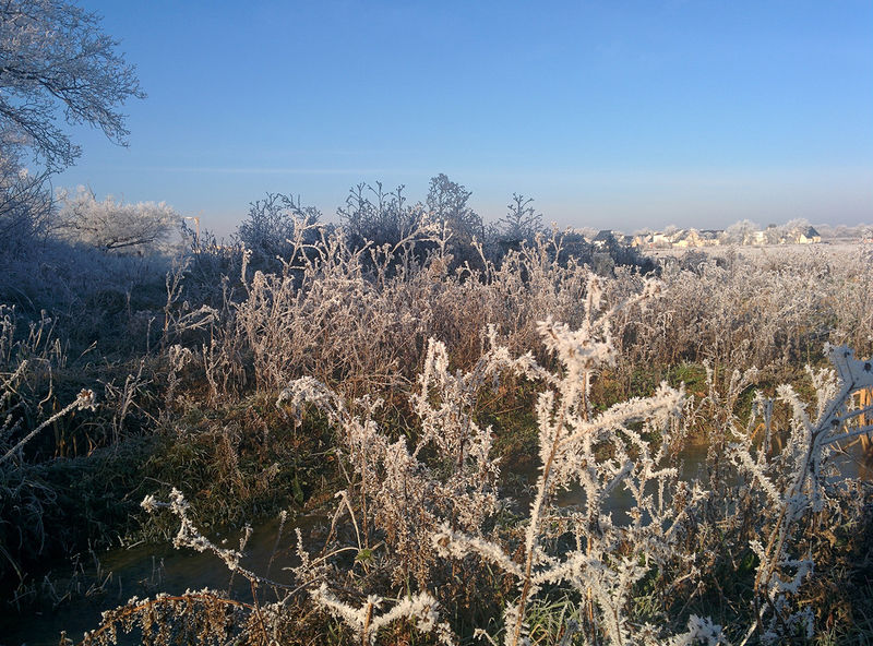 Fichier:Trelaze givre 20150101.jpg