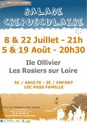 Affiche rosierssurloire Balade crépusculaire 2015.jpg