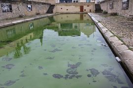 Abreuvoir