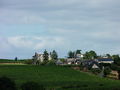 Chaume rochefortsurloire -2015k.jpg