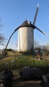 Photographie du moulin-tour de la Lussière (Saint-Georges-des-Sept-Voies).