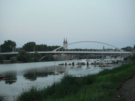 La Maine à Angers