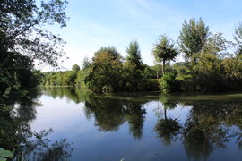 La rivière du Layon Plus de photos…