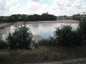 Photographie de la Loire à Montjean-sur-Loire.