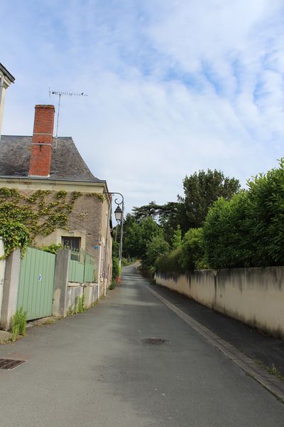 Fichier:Saintaubindeluigne 2019 5908.jpg