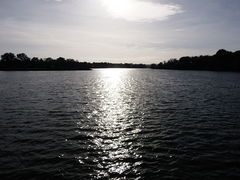 Cholet lac de ribou - 2015d.jpg