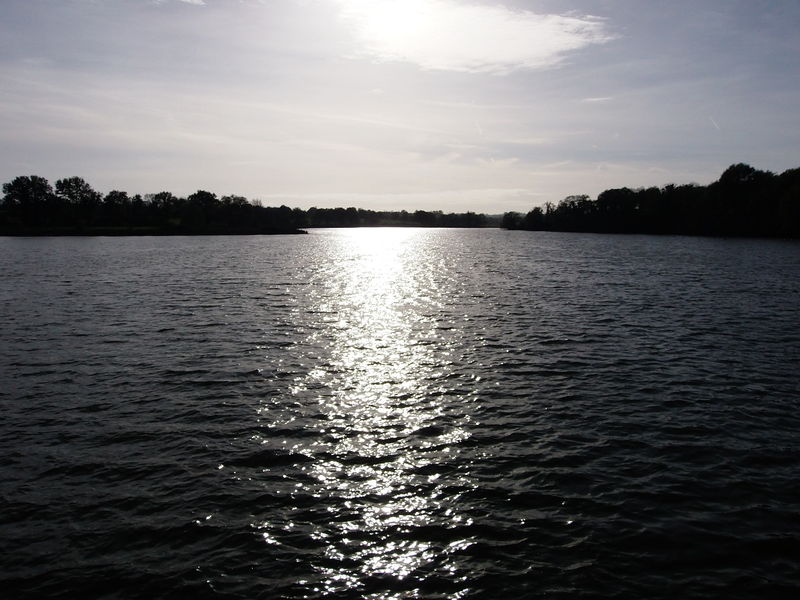 Fichier:Cholet lac de ribou - 2015d.jpg