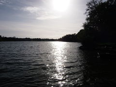 Cholet lac de ribou - 2015l.jpg