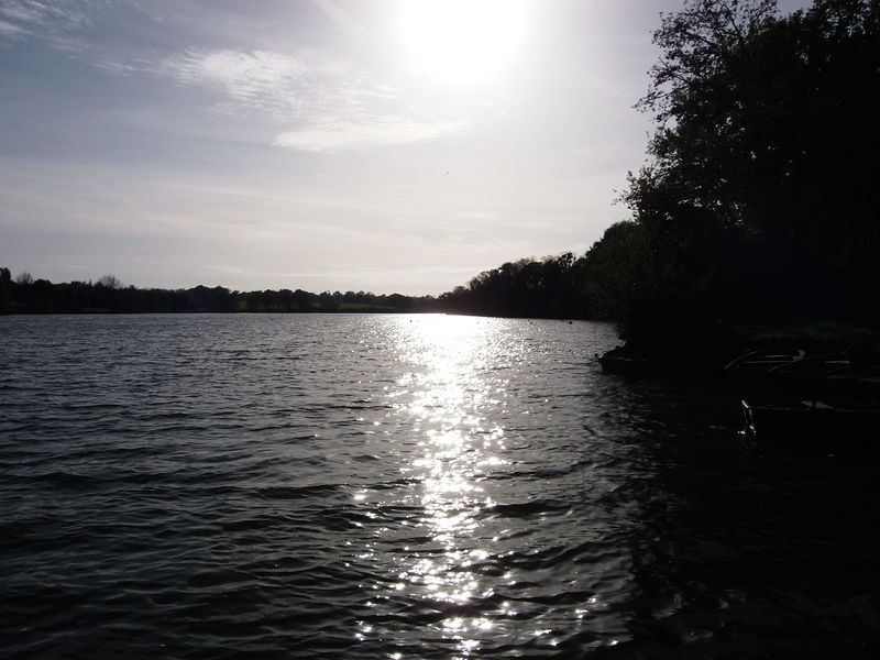 Fichier:Cholet lac de ribou - 2015l.jpg