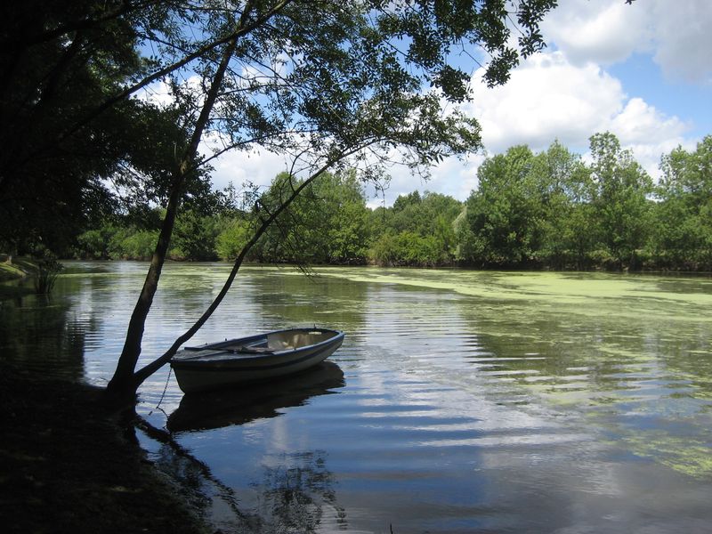 Fichier:Vieux louet -2008a.jpg