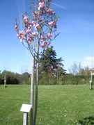 Ste christine 49-photo 34.jpg