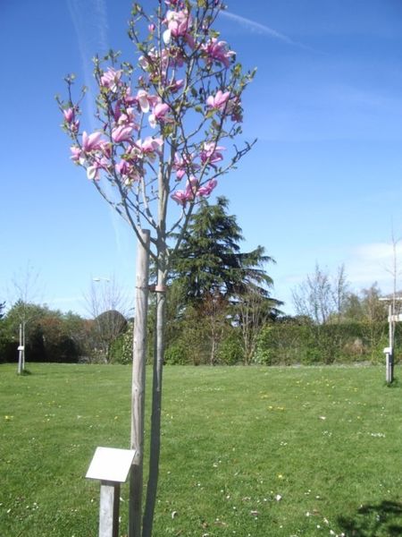 Fichier:Ste christine 49-photo 34.jpg