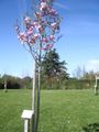 Ste christine 49-photo 34.jpg