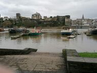 Photographie d'une loutre.