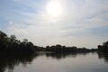 Loire chalonnes montjean 2024-0674.JPG